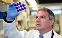 Deux vaccins expérimentaux anti-Zika efficaces chez des singes