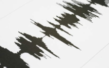 Fort séisme de magnitude 6,8 aux îles Fidji, pas d'alerte au tsunami