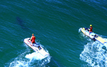 Un jeune surfeur blessé par un requin en Australie