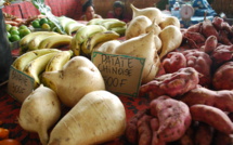 Page enfant : Le végétarisme à l’honneur samedi