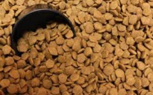 Alsace: la camionnette des voleurs était chargée de croquettes pour chiens