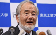 Le Nobel de médecine à un Japonais qui a exploré l'"usine de recyclage" cellulaire