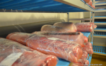 Le prix du thon blanc s'envole