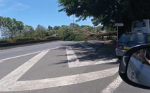 Un arbre bloque une partie de la RDO