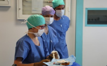 Une start-up bordelaise veut démultiplier la formation entre médecins