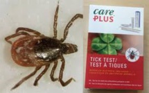 Maladie de Lyme: 130 patients réclament 500.000 euros chacun à 5 labos