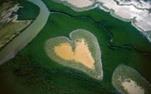 Mission scientifique en Nouvelle-Calédonie pour un inventaire de la biodiversité