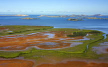 N-Calédonie: la nature pourrait avoir un statut de personnalité juridique