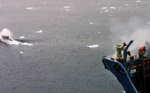 Partisans et adversaires de la chasse à la baleine affichent leur fermeté