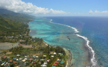 50 professionnels du Pacifique réunis autour d'ateliers de l'agriculture bio