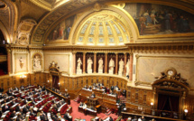 Vers des sociétés publiques locales dans les communes polynésiennes