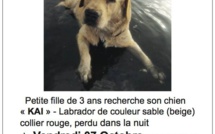 Vols de chien: business ou casserole ?