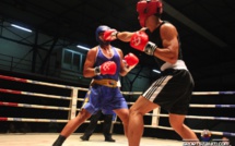Boxe « Chpt novices » : Des demies finales expéditives