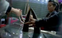 Un petit village devenu "plaque tournante" du trafic d'animaux sauvages au Vietnam