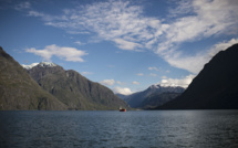 L'Argentine va exterminer 100.000 castors en Patagonie, pour protéger la forêt