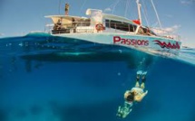 Australie: deux Français meurent lors d'une plongée sur la Grande Barrière