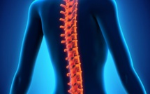 " L'arbre de vie " par Frédéric Précloux, Chiropracteur à Papeete