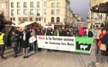 Vienne: manifestation contre un projet de ferme-usine de 1200 taurillons