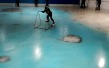 Au Japon, haro sur une patinoire avec vue sur 5.000 poissons congelés