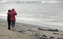 Sept morts et un disparu dans un naufrage en Nouvelle-Zélande