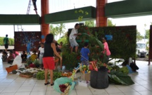 Punaauia : l'opération "mon beau sapin 2016" a démarré