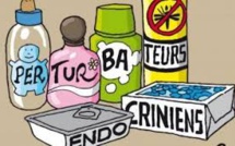 Perturbateurs endocriniens: 100 scientifiques dénoncent la "manipulation de la science"