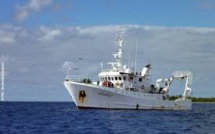 Biopelagos: Une mission d’exploration des divers maillons de la chaine alimentaire marine dans le Pacifique