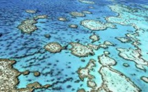 La Grande barrière de corail ne se meurt pas, assure Canberra