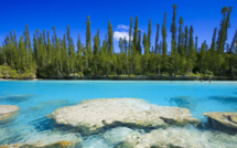 La biodiversité de Nouvelle-Calédonie passée au peigne fin par des naturalistes