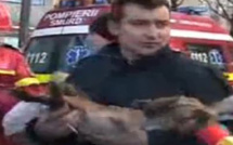 Roumanie : un pompier acclamé en héros après avoir fait du bouche à bouche à un chien