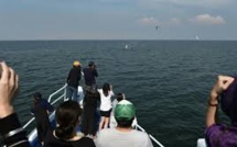 Observer les baleines au large de Bangkok, une rareté au royaume du tourisme de masse