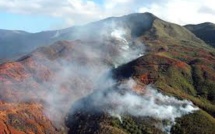 Nouvelle-Calédonie: les incendies menacent la ressource en eau (WWF)