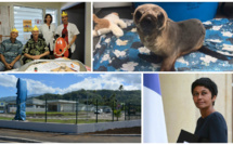 Rétrospective 2016 : les temps forts d'août