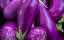La défisc' nationale pour Agrifarm