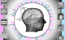 La zone clé du cerveau pour reconnaître les visages grossit jusqu'à l'âge adulte