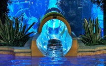 Philippines: Dora ne sera pas autorisée à explorer des fonds paradisiaques