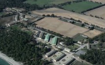 Enquête sur des cas de maltraitance d'animaux dans une "prison ouverte" corse