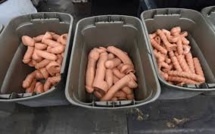 Les sex toys plus sûrs que les jouets (étude suédoise)