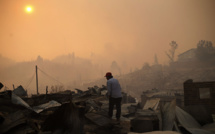 Le Chili ravagé par les feux de forêt
