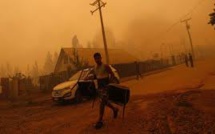 Le Chili ravagé par les feux de forêt