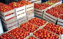 Des chercheurs veulent redonner du goût aux tomates industrielles