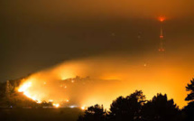 Nouvelle-Zélande: un feu de forêt provoque un millier d'évacuations