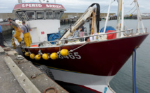 Malgré son poids, l'économie bleue regrette son absence des débats à la présidentielle