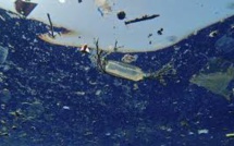 Les océans pollués par des particules invisibles de plastique