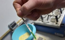 Les OGM encore bien présents dans les mangeoires d'animaux d'élevage