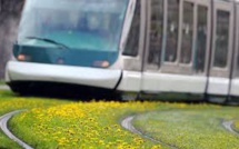 Des "chat bots" novateurs pour trouver son chemin dans le tramway