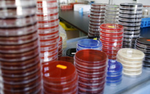 L'OMS liste 12 "superbactéries" contre lesquelles il faut développer de nouveaux antibiotiques