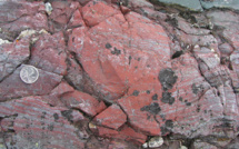 La rage de vivre: des microfossiles déjà sur Terre il y a quelque 4 milliards d'années