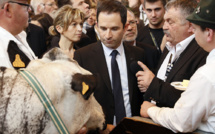 Au Salon de l'agriculture, les politiques à la peine