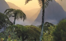 "L'île de la grande solitude" : Isabelle Briand met encore en scène la Polynésie